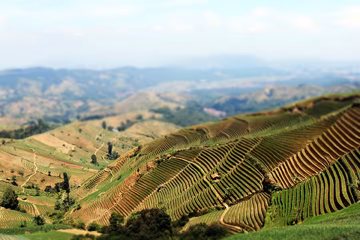 pemandangan puncak sawiyah