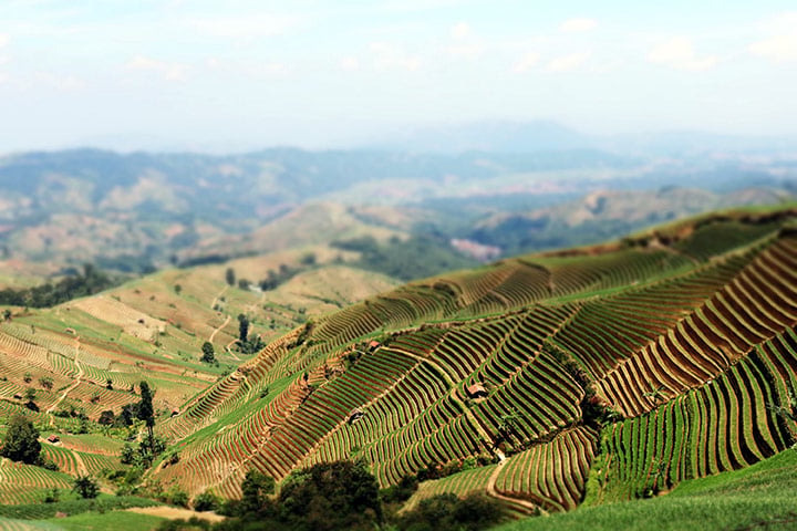 pemandangan puncak sawiyah