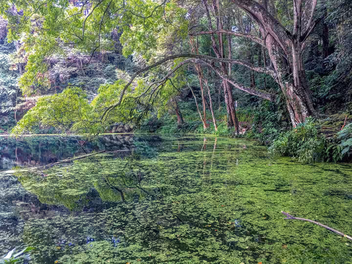 wisata alam telaga remis