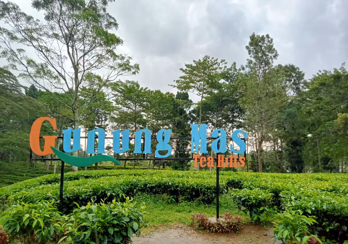 Agrowisata Gunung Mas Puncak Bogor