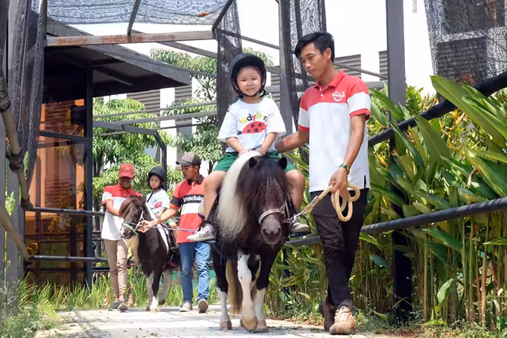 Branchsto BSD Tangerang