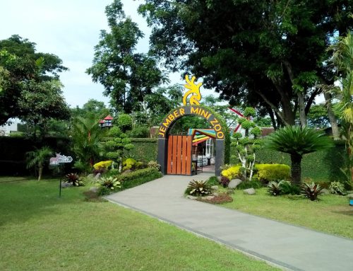Jember Mini Zoo
