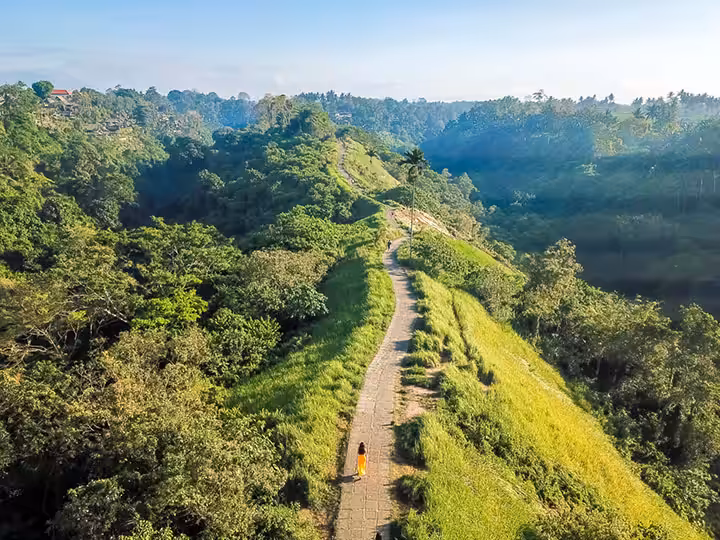 Lokasi Wisata Campuhan Ridge Walk