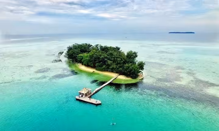 Pulau semak daun jakarta