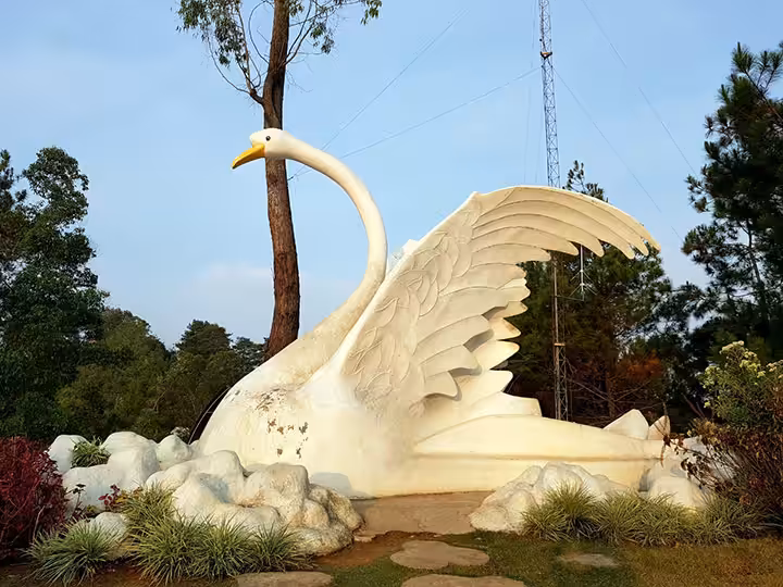 angsa putih Taman Langit Gunung Banyak