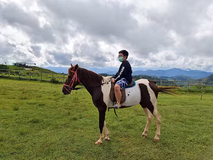 berkuda di Malino highlands