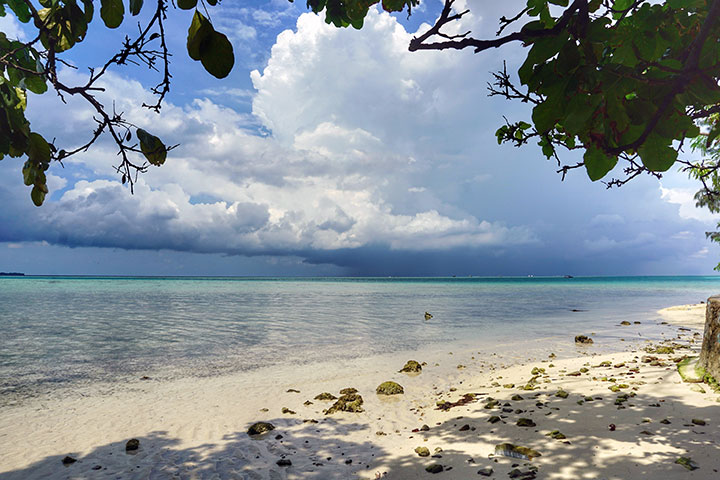 biaya kepulau semak daun