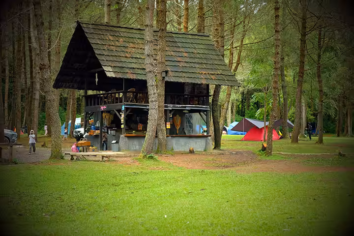 cafe Jungle Milk Lembang