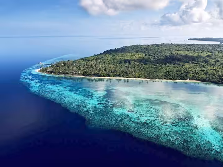 flora dan fauna di taman nasional wakatobi