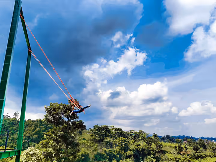 giant wings D'dieuland