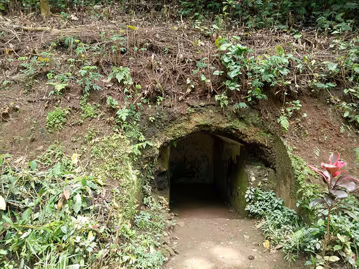 goa jepang dago pakar