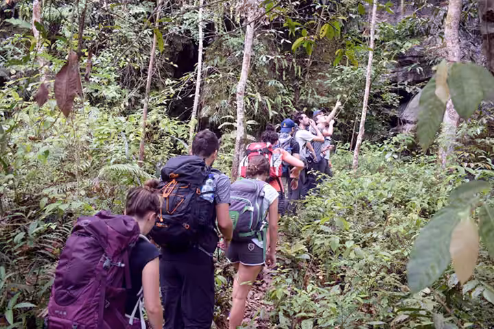 jungle tracking di bukit lawang langkat