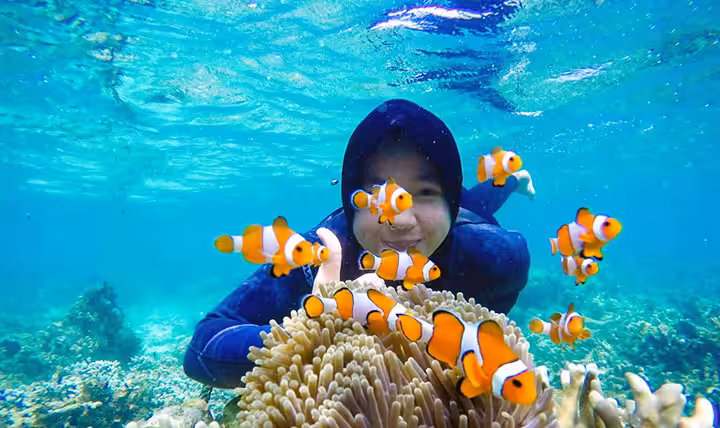 snorkeling pulau pahawang