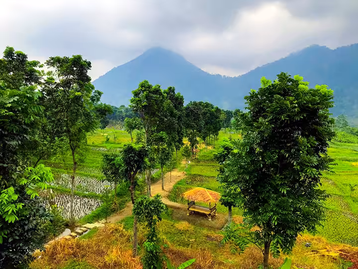 view Mandapa Kirana Resort 