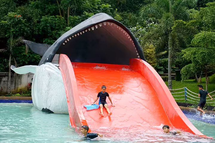 waterpark Sparks Forest Adventure