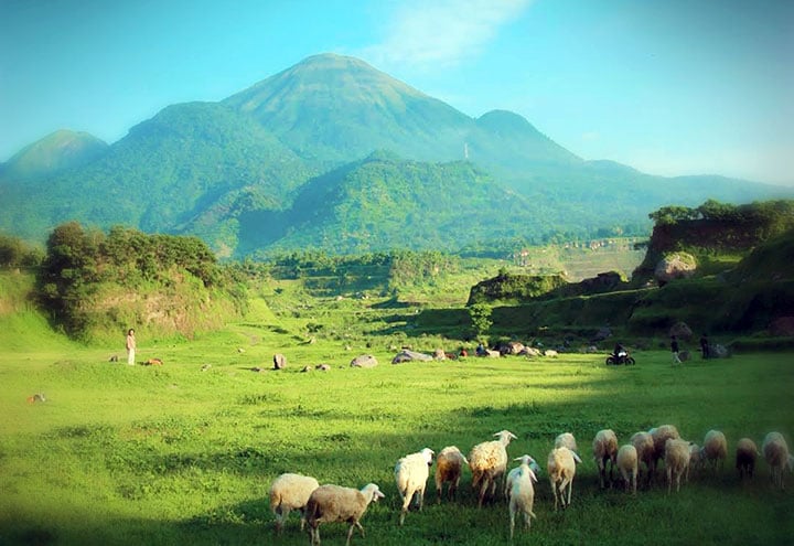 wisata ranu manduro