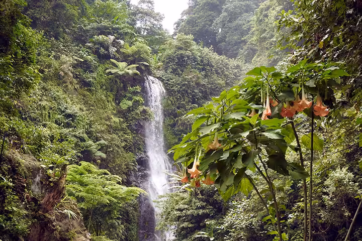 Daya Tarik Curug Cigentis Loji