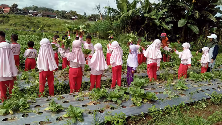 agrowisata amanah kabupaten karanganyar jawa tengah