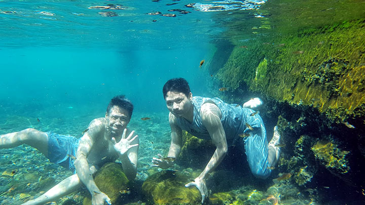 berenang bersama ikan Cikoromoy