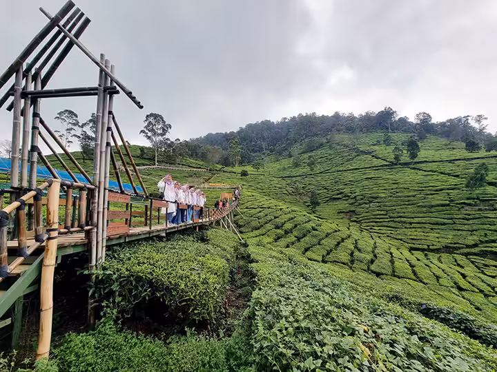 bukit jamur ciwidey foto