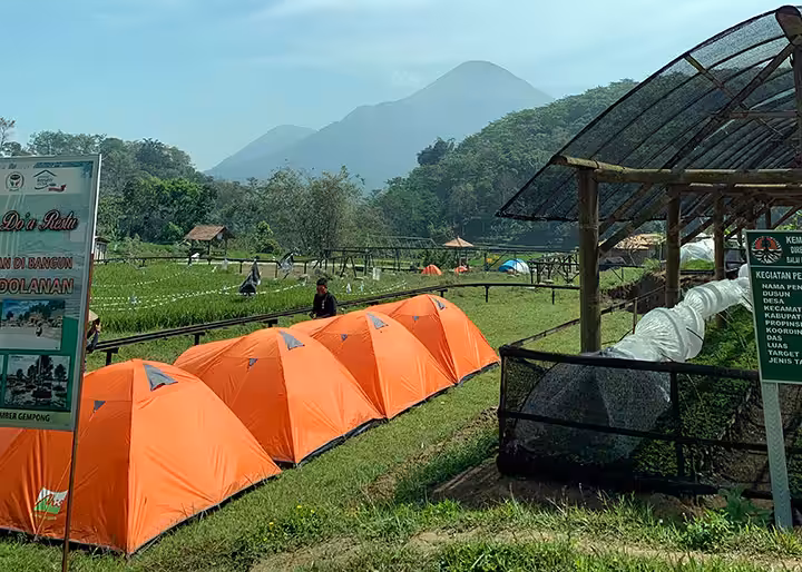 camping di Wisata Sawah Sumber Gempong