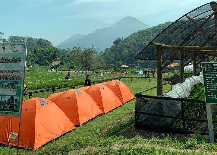 camping di Wisata Sawah Sumber Gempong