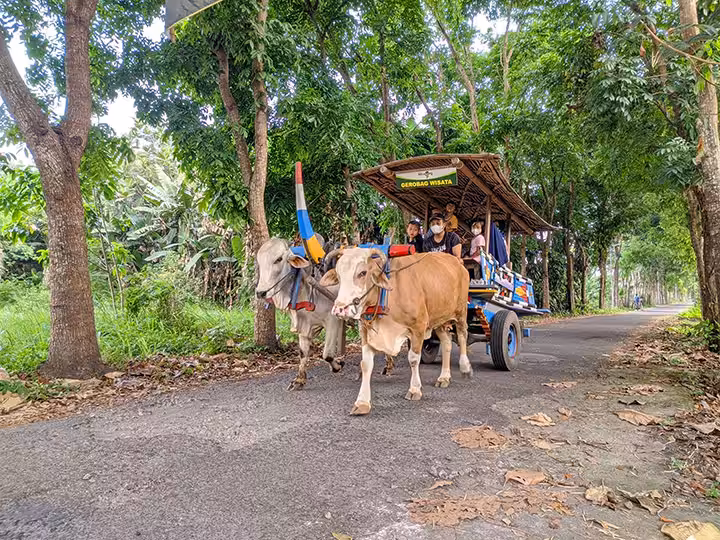 gerobak wisata Omah Kecebong