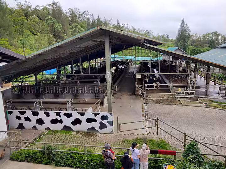 gundaling farmstead foto