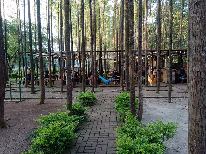 wisata alam hutan kertas karawang