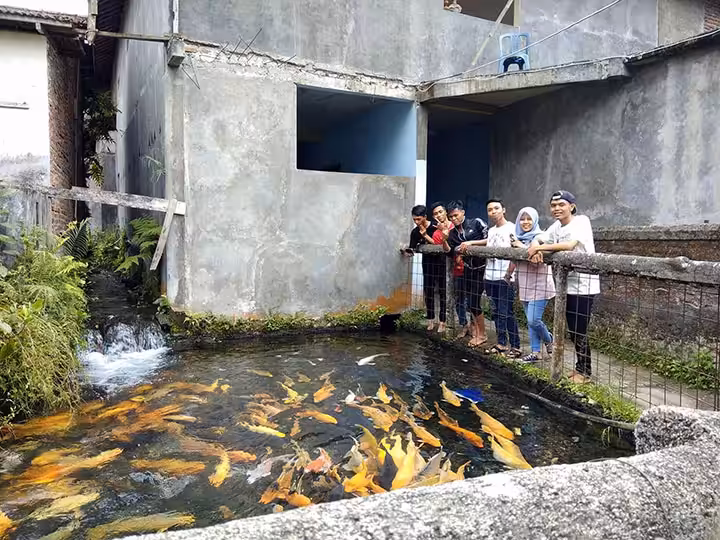 ikan-ikan di Cikoromoy