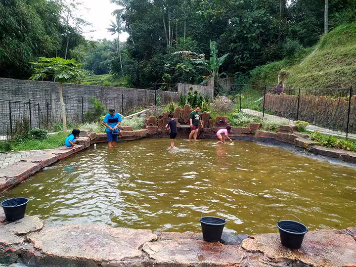 kolam Taman Wisata Batu Apung Alam Hijau