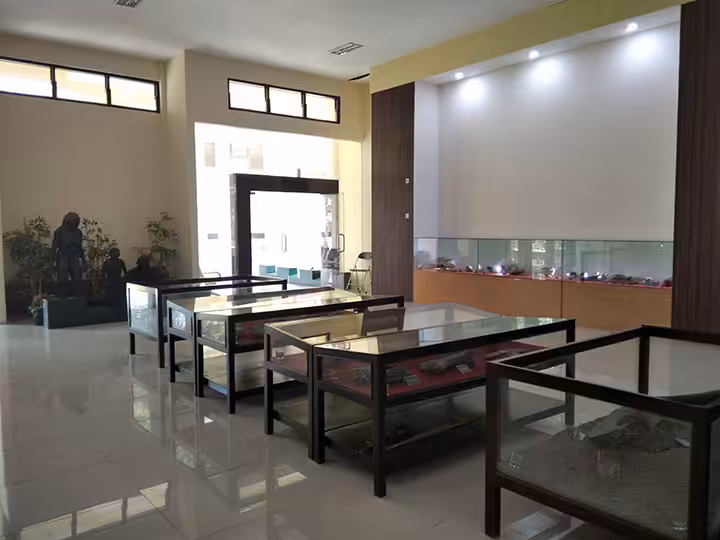 koleksi fosil Museum Trinil