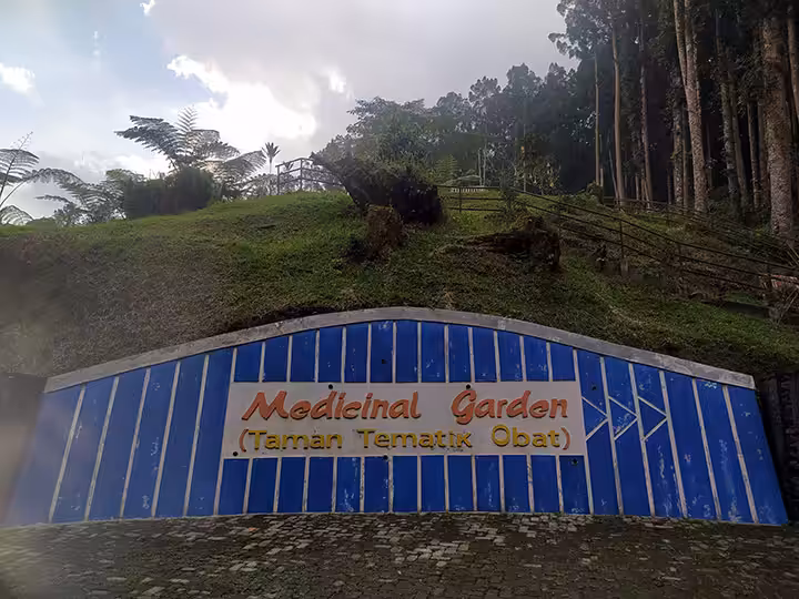 medical garden Kebun Raya Baturaden