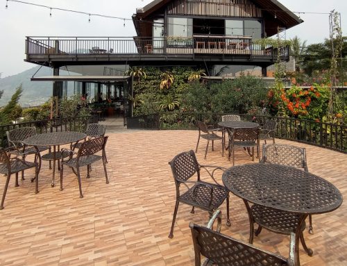 Pancar Garden