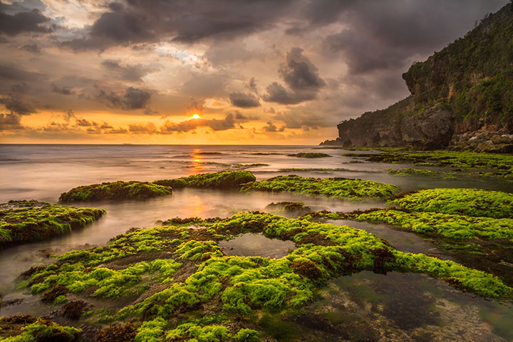 pantai butuh jogja
