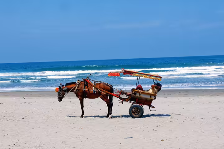 pantai panjang bengkulu pantai terpanjang di indonesia
