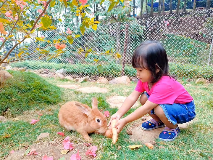 rute Bernah De Vallei