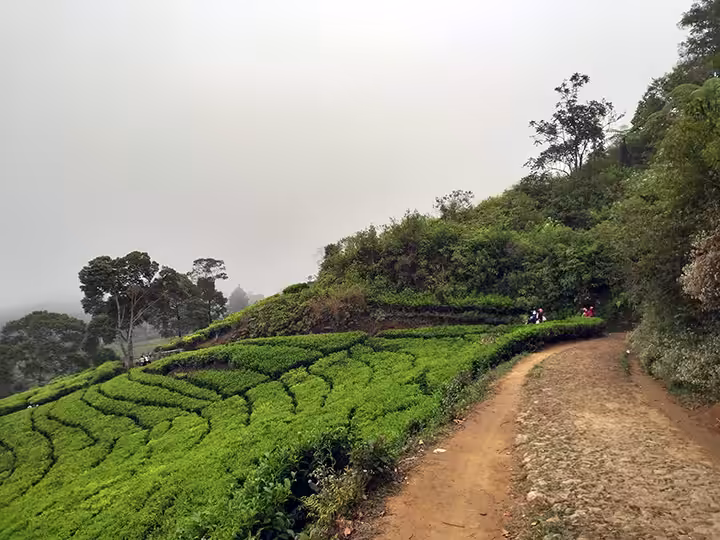 rute Kawah Cibuni Rengganis