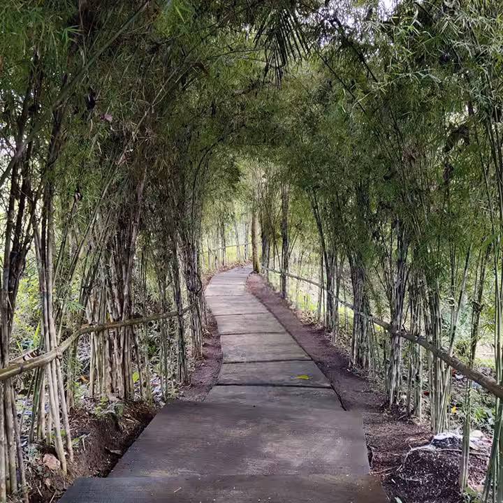 Suwat Waterfall Gianyar