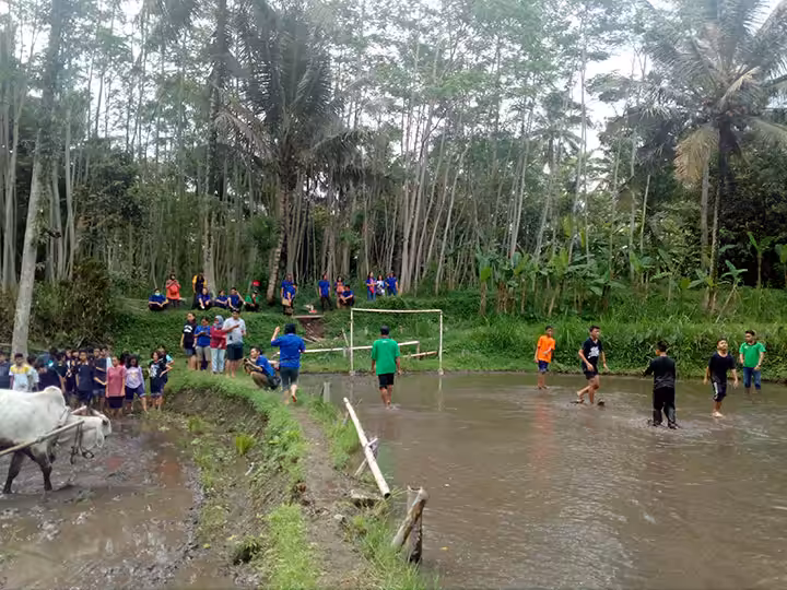 sepak bola lumpur Desa Wisata Pentingsari