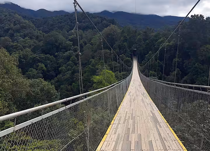 situ gunung suspension bridge