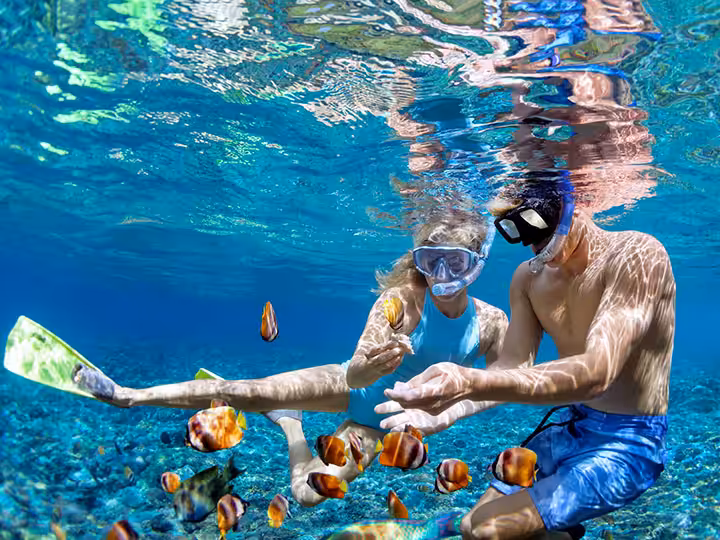 snorkeling dan diving di blue lagoon bali