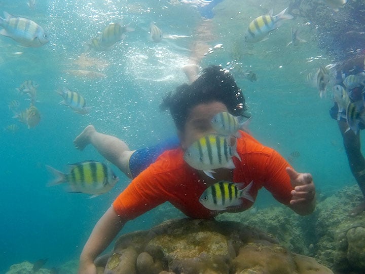 snorkling Pulau Pasumpahan