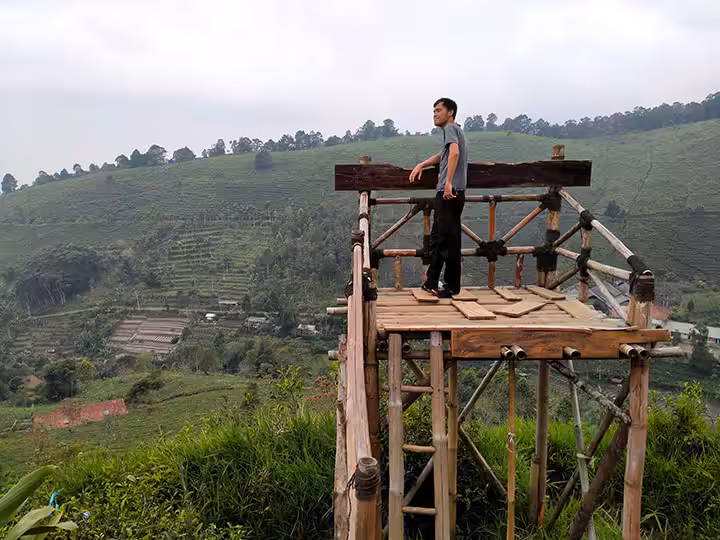 spot foto Kebun Teh Cipasung