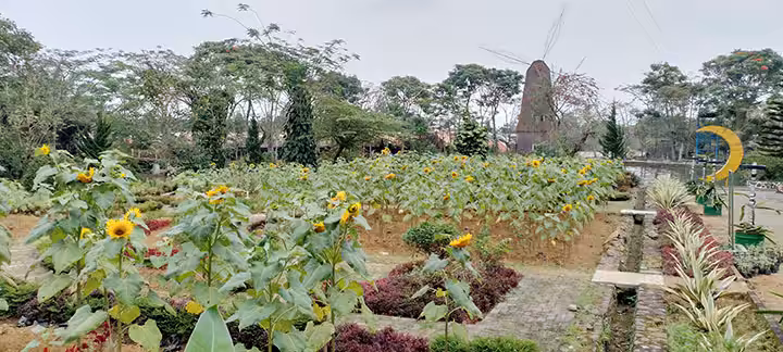 agrotani Taman Wisata Matahari
