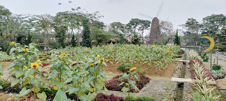 agrotani Taman Wisata Matahari