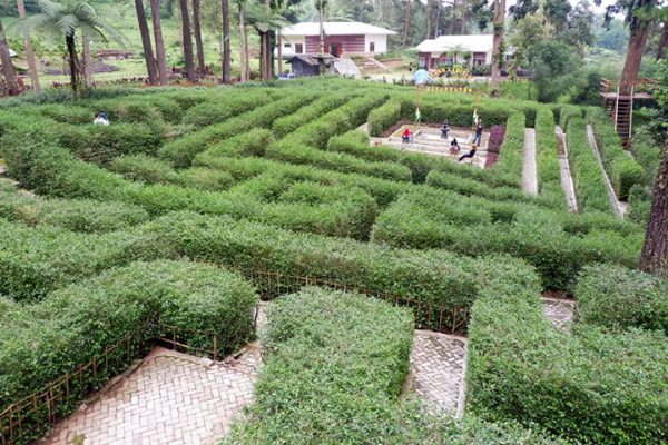 Kebun Raya Baturaden: Sejarah, Lokasi, Jam Buka & Harga Tiket