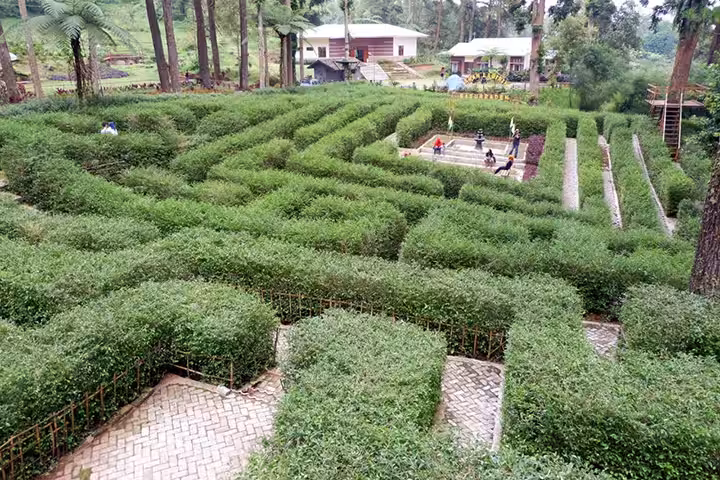taman labirin Kebun Raya Baturaden