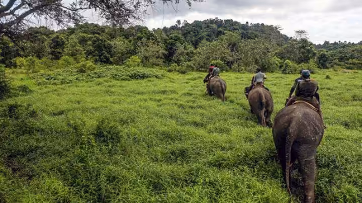 taman nasional bukit barisan selatan terletak di