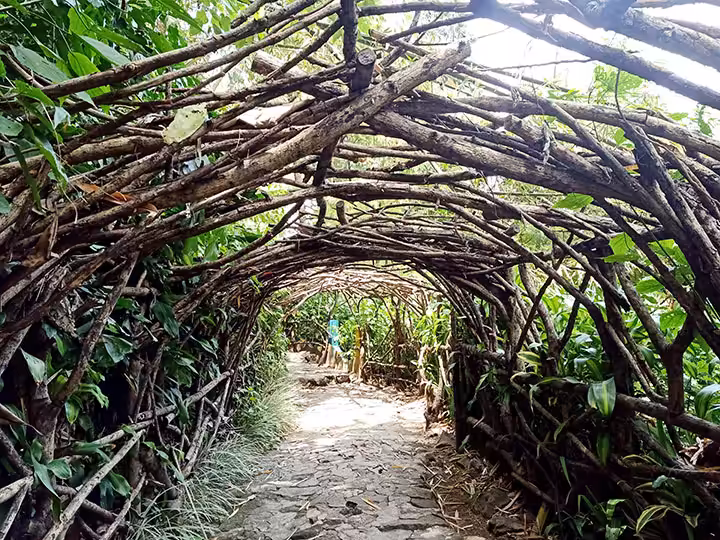 terowongan Air Terjun Kakek Bodo